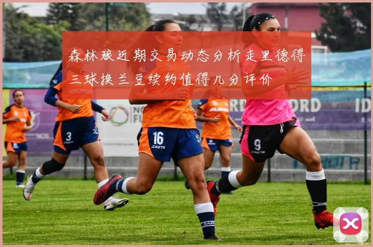森林狼近期交易动态分析走里德得三球换兰豆续约值得几分评价