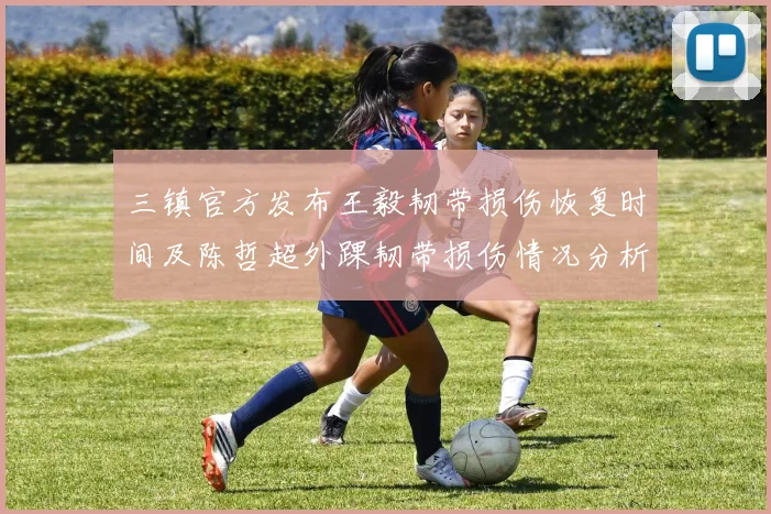 三镇官方发布王毅韧带损伤恢复时间及陈哲超外踝韧带损伤情况分析